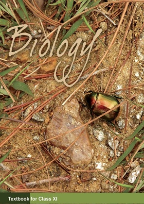 Biology Chapter 19